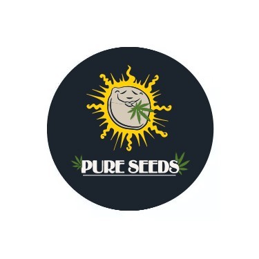 Pure Seeds Autofloraison